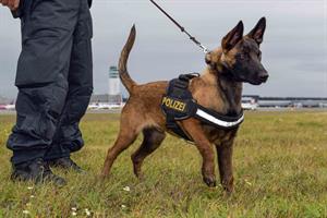 Artikel 'Polizeidiensthunde: Verstärkung in NÖ' anzeigen