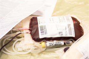Artikel 'Wiener Polizei spendet Blut' anzeigen