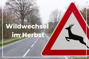 Artikel 'Wildwechsel im Herbst' anzeigen