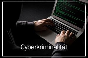 Artikel 'Polizei im Umgang mit Cyberkriminalität' anzeigen